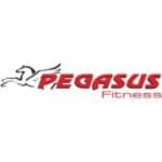 Διάδρομος Pegasus® “Jupiter” TA256E 4.0HP AC ΟΡΓΑΝΑ ΓΥΜΝΑΣΤΙΚΗΣ - ΦΥΣΙΟΘΕΡΑΠΕΙΑΣ